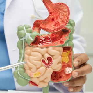 Jobb emésztés és több energia